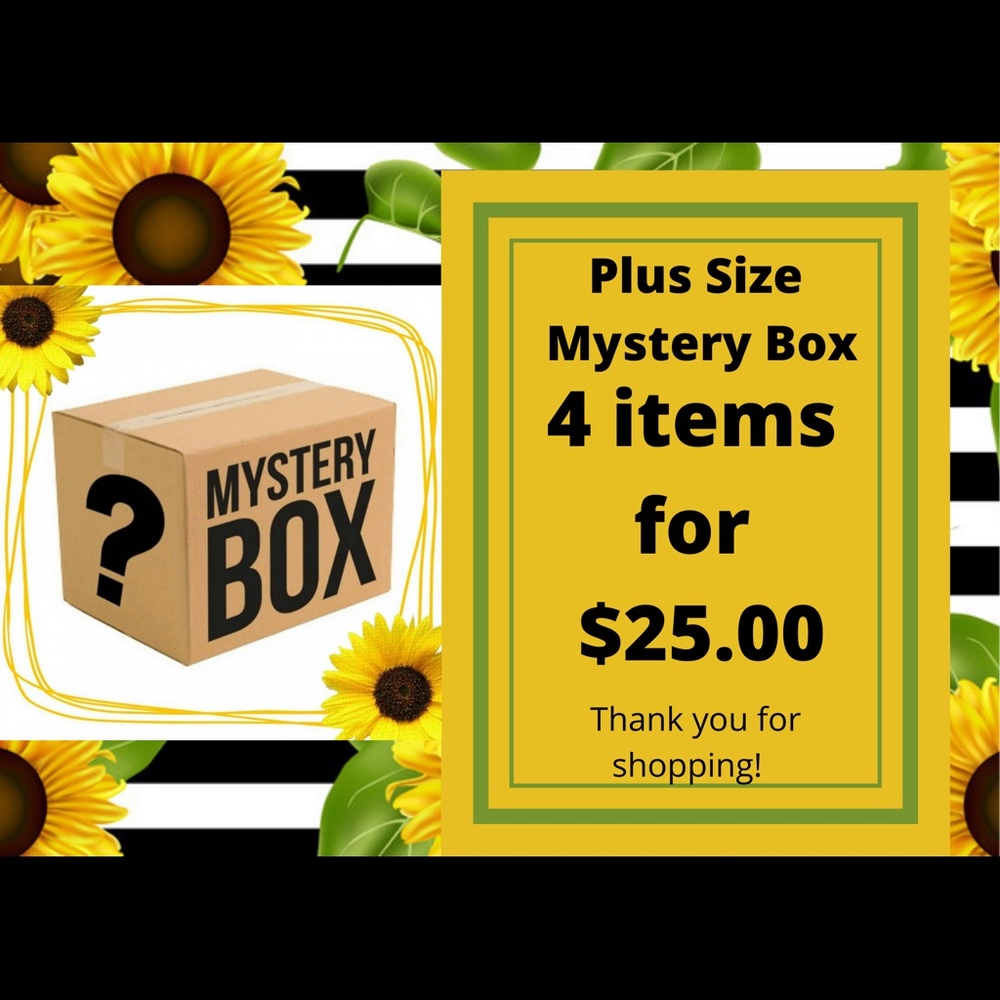 Plus Size Mystery Box!!